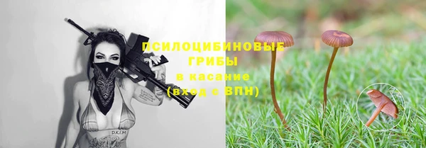 винт Гусев