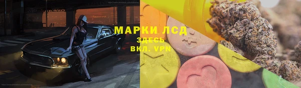 дживик Гусь-Хрустальный