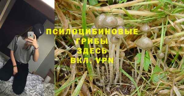 синтетический гашиш Вязьма