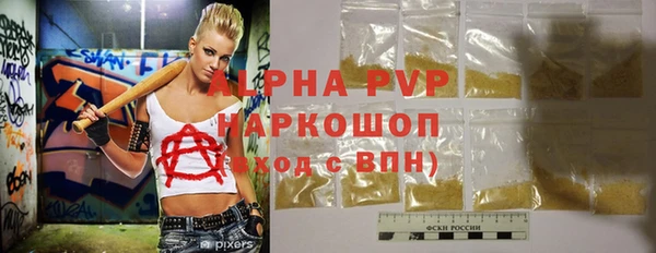 дживик Гусь-Хрустальный